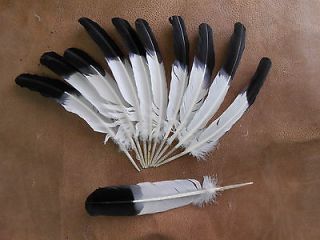 TURKEY FEATHERS,QUILLS,DYED,IMITATION EAGLE,BLACK TIP,10 12,CRAFTS