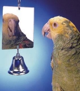 bird toy bells