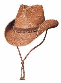 Bullhide Hats City Slicker Straw Western Cowboy Hat