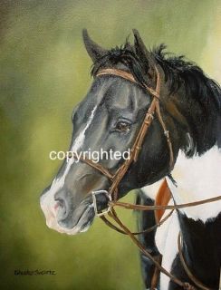 CELEBRATE HORSES Blank Note Cards MORE SELECT BREEDS signed by artist