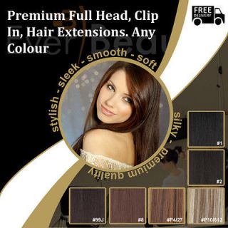 Clip In Remy Human Hair Extensions Full Head More Colours