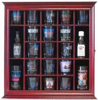 Glass Display Case Wall Cabinet Shadow Box, with Hinged Glass Door