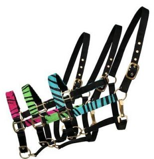 teal in Bridles, Headstalls