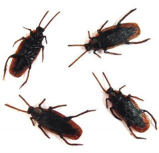 COCKROACH creepy novelty bugs toys roach toy fake roaches NEW