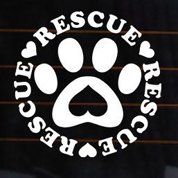 RESCUE PAW Vinyl Decal 4x4 car window sticker puppy dog shelter pet