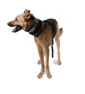 Bite Free Cervical Dog Collar Flexible Adjustable Cone/Elizabeth ian