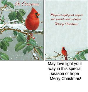 Winter Cardinal Boxed Christmas Cards Legacy Hautman Brothers
