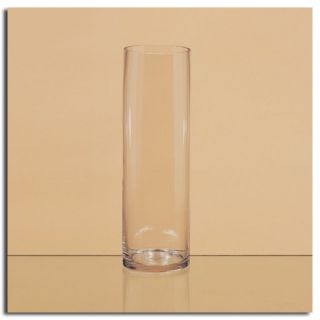 16 Large Tall Clear Glass Simple Modern Cylinder Flower Vase