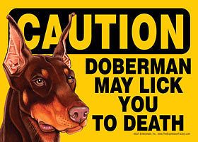 Fun Dog Sign Caution Doberman Pinscher magnet 7 x 5 Brown Dobie
