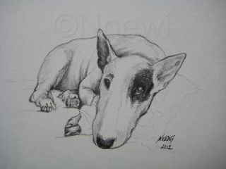 DUKE original drawing NOEWI dog puppy English Bull Terrier HELP rescue