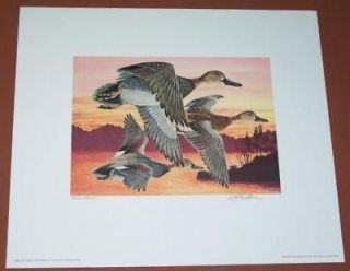 1991 Oklahoma Duck Stamp Press Proof Print by R foster