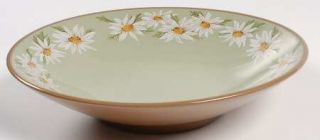 Taylor, Smith & T (TS&T) Lazy Daisy Coupe Soup Bowl, Fine China Dinnerware   Gre