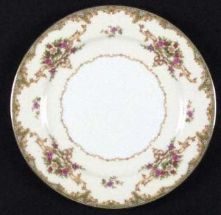 Noritake Mystery #215 Salad Plate, Fine China Dinnerware   Tan Scrolls,Florals B