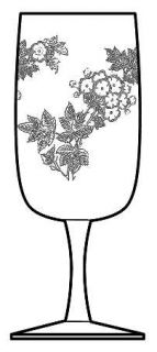 Fostoria Nuptial Clear Water Goblet   Stem #6103, Etch #21