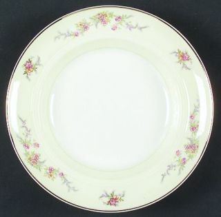 Salem Monticello (Smooth Rim) Rim Soup Bowl, Fine China Dinnerware   Florals,Cre