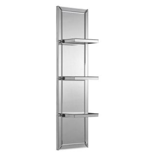 Ren Wil Wall Mirror with Shelves   13W x 48H in. Multicolor   MT1053