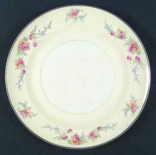 Salem Monticello (Smooth Rim) Dinner Plate, Fine China Dinnerware   Florals,Crea