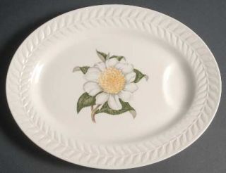 Haviland Regents Park Camellia 11 Oval Serving Platter, Fine China Dinnerware  