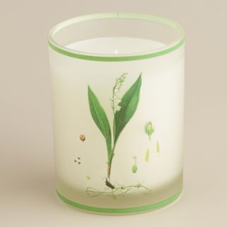 Lily of the Valley Botanical Boxed Candle   World Market