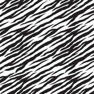 Zebra Striped Tissue Paper